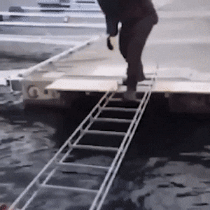 Acid GIFs, January 26 (25 gifs)