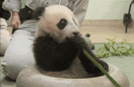 Acid GIFs, January 26 (25 gifs)