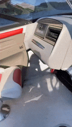 Acid GIFs, January 26 (25 gifs)