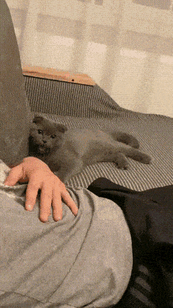 Acid GIFs, January 26 (25 gifs)