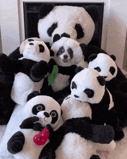 Acid GIFs, January 26 (25 gifs)