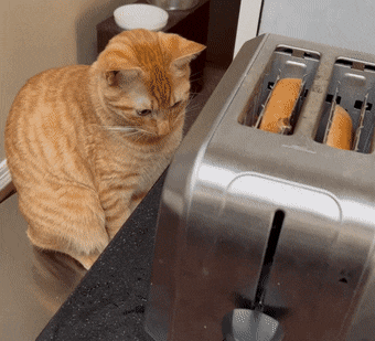 Acid GIFs, January 26 (25 gifs)