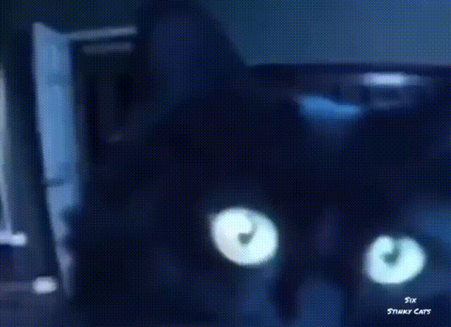Acid GIFs, January 26 (25 gifs)