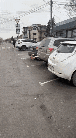 Acid GIFs, January 27 (25 gifs)