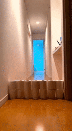 Acid GIFs, January 27 (25 gifs)