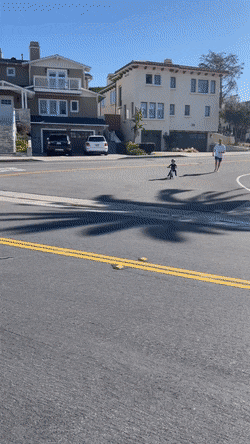 Acid GIFs, January 27 (25 gifs)