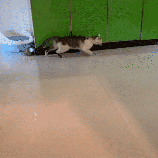 Acid GIFs, January 27 (25 gifs)