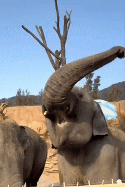 Acid GIFs, January 27 (25 gifs)