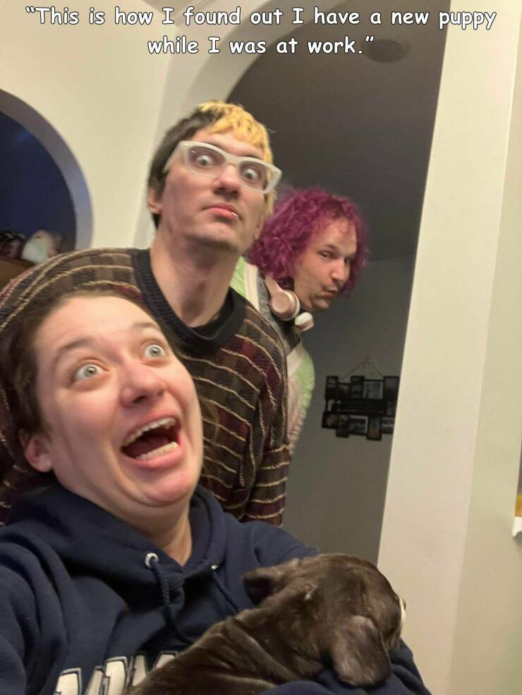 Daily Pictures. Part 1 (71 pics)