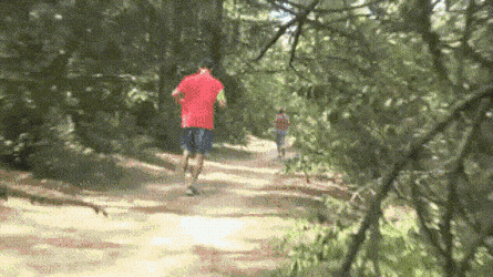 Acid GIFs, January 31 (25 gifs)