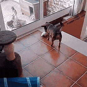 Acid GIFs, January 31 (25 gifs)
