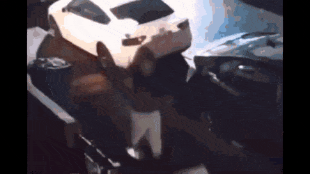 Acid GIFs, January 31 (25 gifs)