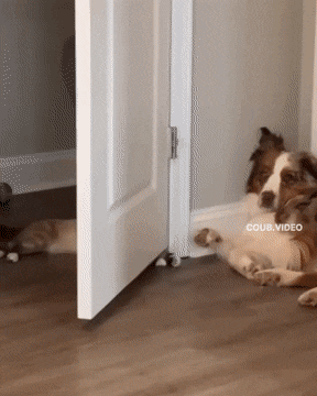 Acid GIFs, January 31 (25 gifs)