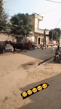 Acid GIFs, January 31 (25 gifs)