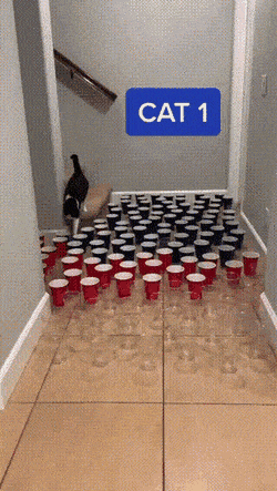 Acid GIFs, January 31 (25 gifs)