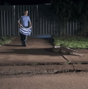 Acid GIFs, January 31 (25 gifs)