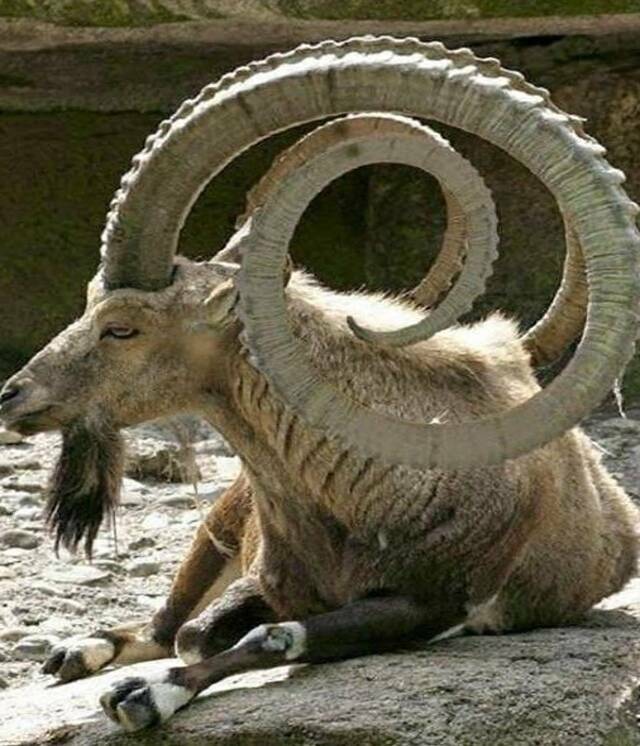 Daily Pictures. Part 2 (72 pics)