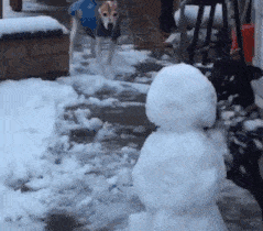 Acid GIFs, February 1 (25 gifs)