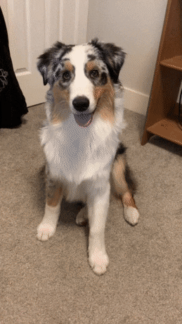 Acid GIFs, February 1 (25 gifs)