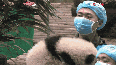 Acid GIFs, February 1 (25 gifs)