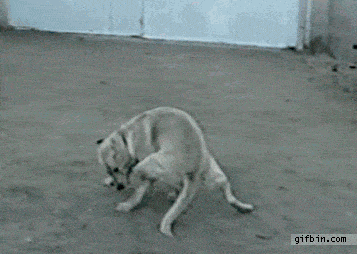Acid GIFs, February 1 (25 gifs)