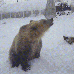 Acid GIFs, February 1 (25 gifs)