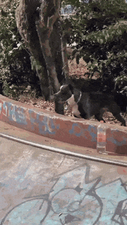 Acid GIFs, February 1 (25 gifs)