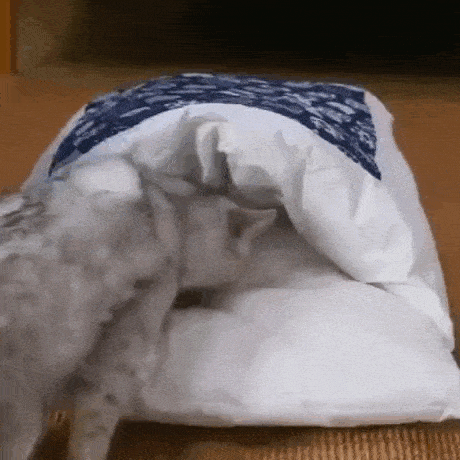 Acid GIFs, February 1 (25 gifs)