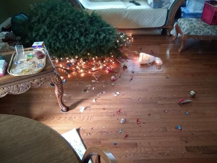 Bad Days Happen (19 pics)