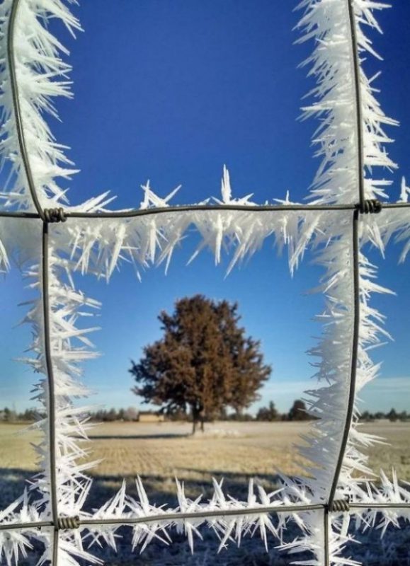 Photos For Perfectionists (23 pics)