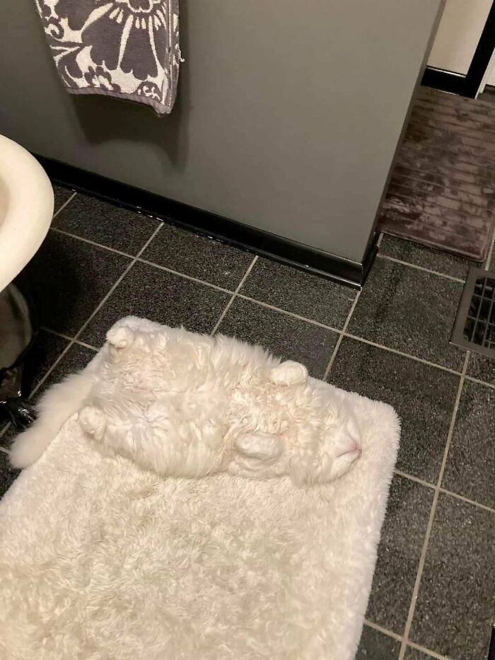 Perfect Disguise (22 pics)