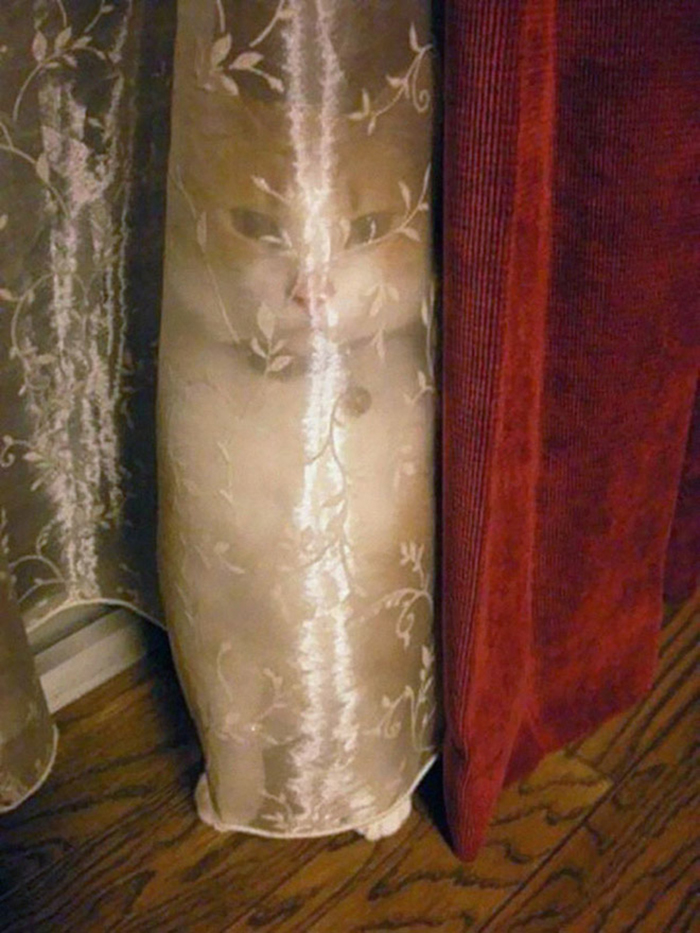 Perfect Disguise (22 pics)