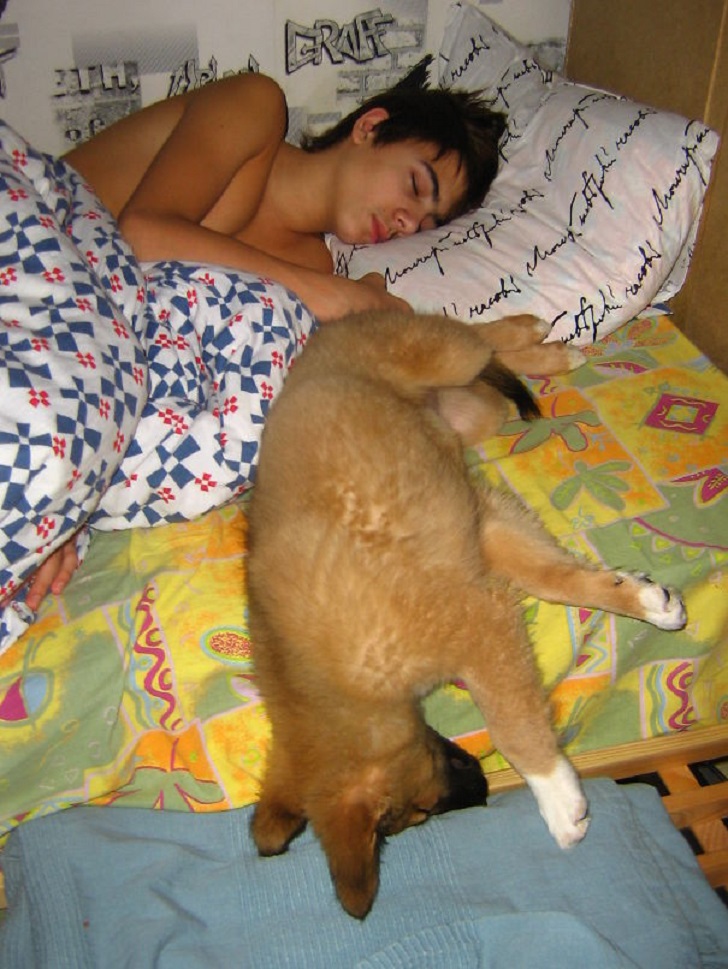Dogs Can Sleep Anywhere (21 pics)