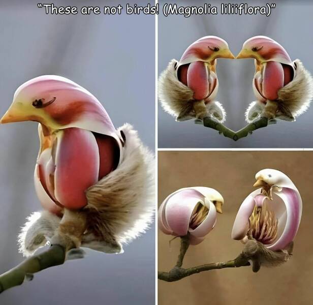 Daily Pictures. Part 1 (72 pics)
