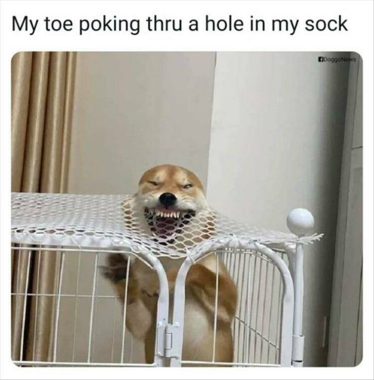Daily Pictures. Part 2 (70 pics)
