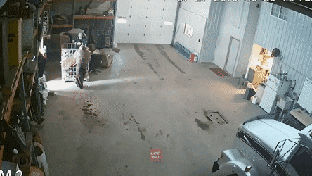 Acid GIFs, February 2 (25 gifs)