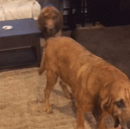 Acid GIFs, February 2 (25 gifs)