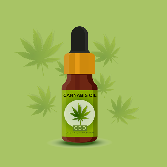 How to Shop for CBD Products Online: A Beginners Guide