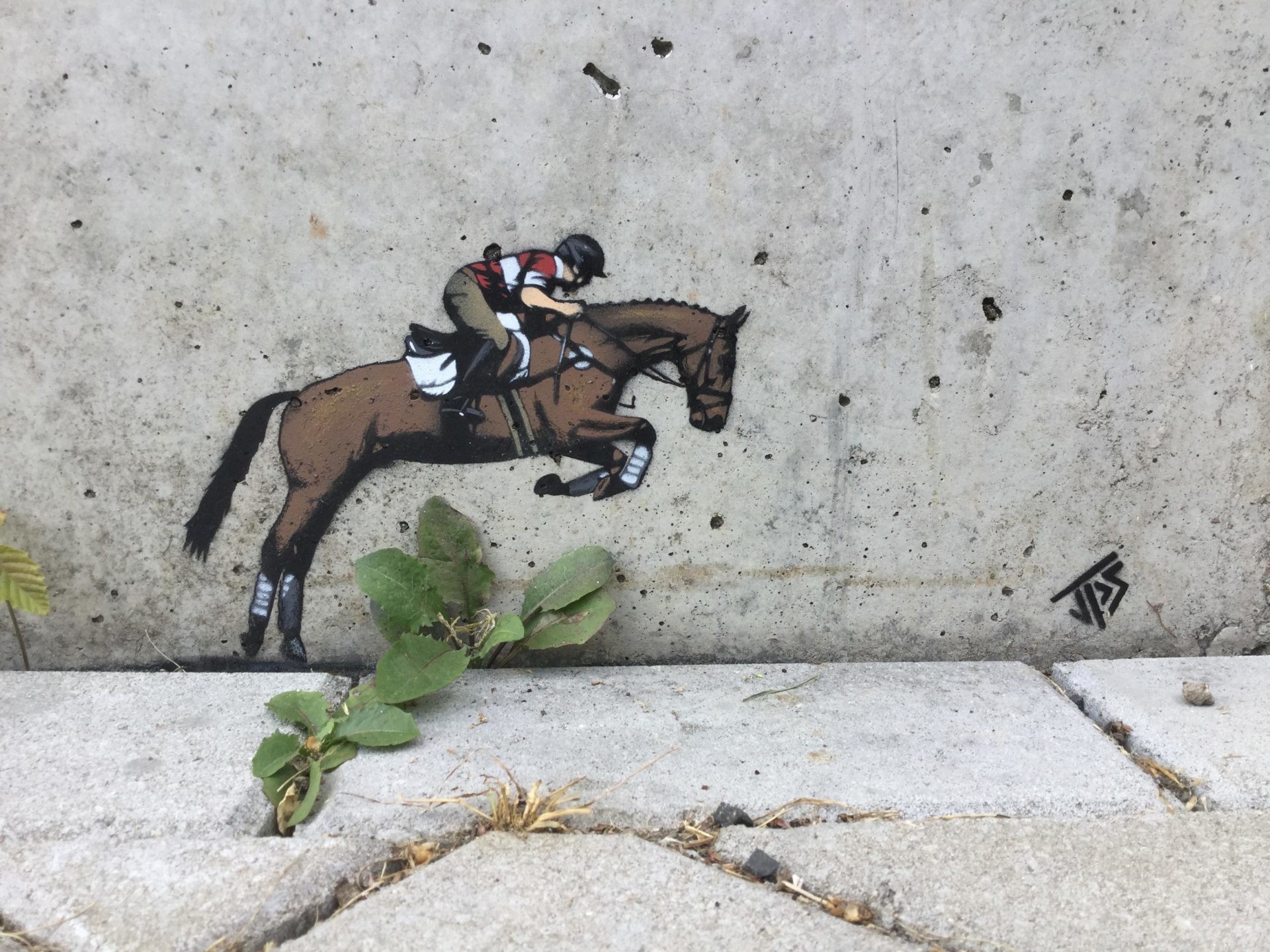 Cool Street Art (17 pics)