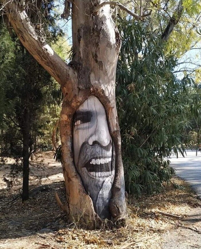 Cool Street Art (17 pics)