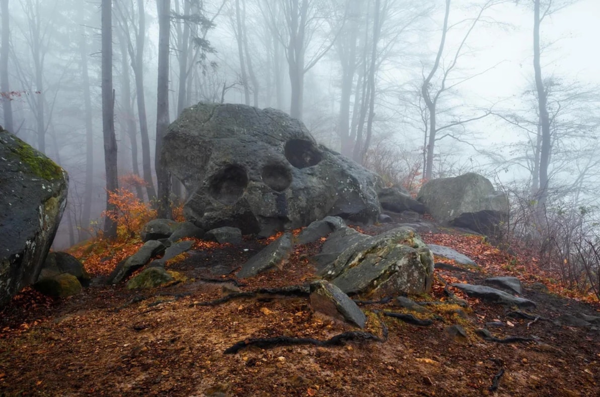 Unusual Finds In The Forests (16 pics)