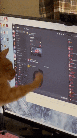 Acid GIFs, February 3 (25 gifs)