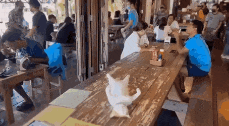 Acid GIFs, February 3 (25 gifs)