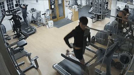 Acid GIFs, February 3 (25 gifs)