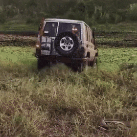 Acid GIFs, February 3 (25 gifs)