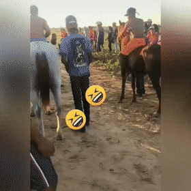 Acid GIFs, February 3 (25 gifs)