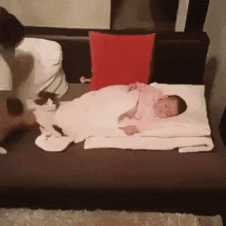 Acid GIFs, February 3 (25 gifs)