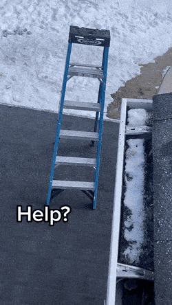 Acid GIFs, February 3 (25 gifs)