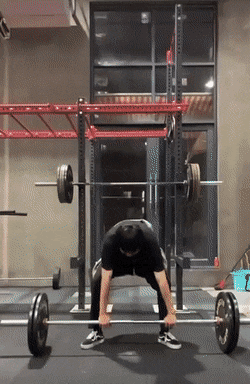 Acid GIFs, February 3 (25 gifs)