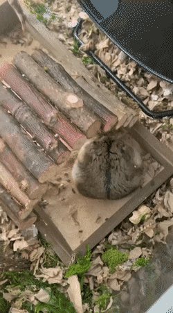 Acid GIFs, February 3 (25 gifs)